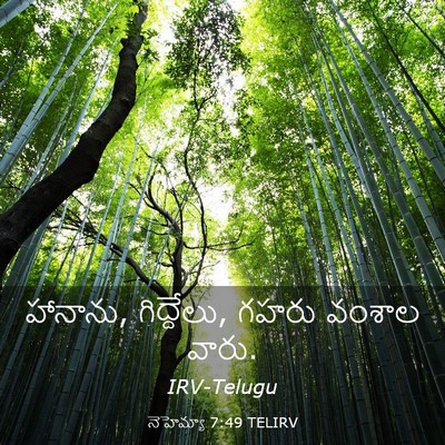 Picture 03 - నెహెమ్యా 7:49 TELIRV - హానాను, గిద్దేలు, - Bible Verse Picture