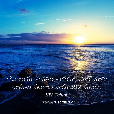 Picture 03 - నెహెమ్యా 7:60 TELIRV - దేవాలయ - Bible Verse Picture