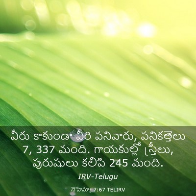 Picture 03 - నెహెమ్యా 7:67 TELIRV - వీరు కాకుండా వీరి - Bible Verse Picture