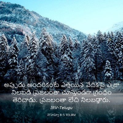 Picture 03 - నెహెమ్యా 8:5 TELIRV - అప్పుడు అందరికంటే - Bible Verse Picture