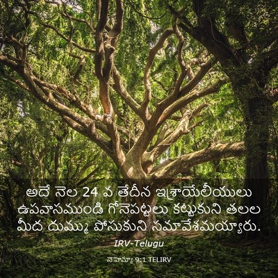 Picture 03 - నెహెమ్యా 9:1 TELIRV - అదే నెల 24 వ తేదీన - Bible Verse Picture