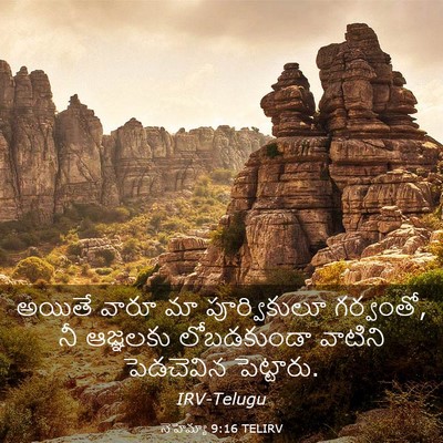 Picture 03 - నెహెమ్యా 9:16 TELIRV - అయితే వారూ మా - Bible Verse Picture