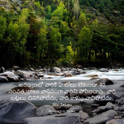 Picture 03 - నెహెమ్యా 9:21 TELIRV - అరణ్యంలో వారికి ఏ - Bible Verse Picture