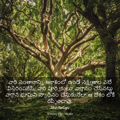 Picture 03 - నెహెమ్యా 9:23 TELIRV - వారి సంతానాన్ని - Bible Verse Picture