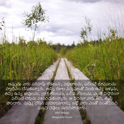 Picture 03 - నెహెమ్యా 9:25 TELIRV - అప్పుడు వారు - Bible Verse Picture