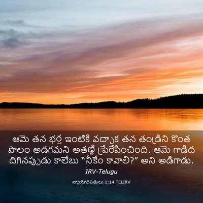 Picture 03 - న్యాయాధిపతులు 1:14 TELIRV - ఆమె తన భర్త ఇంటికి - Bible Verse Picture