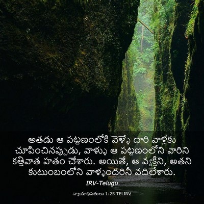 Picture 03 - న్యాయాధిపతులు 1:25 TELIRV - అతడు ఆ పట్టణంలోకి - Bible Verse Picture