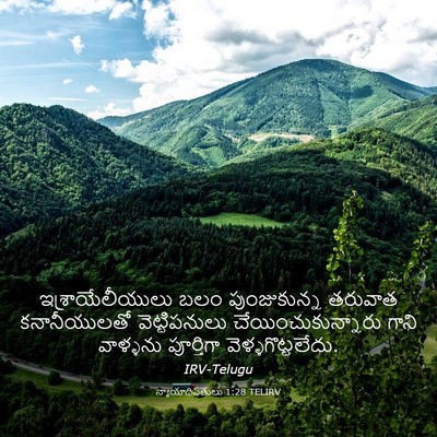 Picture 03 - న్యాయాధిపతులు 1:28 TELIRV - ఇశ్రాయేలీయులు బలం - Bible Verse Picture