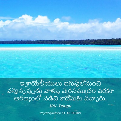 Picture 03 - న్యాయాధిపతులు 11:16 TELIRV - ఇశ్రాయేలీయులు - Bible Verse Picture