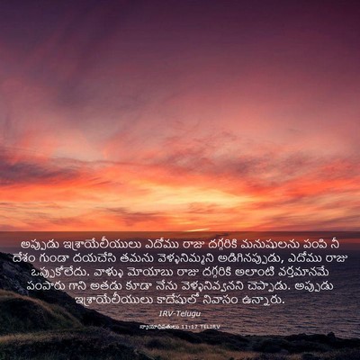 Picture 03 - న్యాయాధిపతులు 11:17 TELIRV - అప్పుడు - Bible Verse Picture