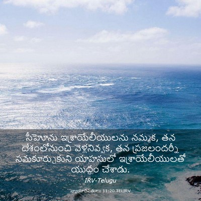 Picture 03 - న్యాయాధిపతులు 11:20 TELIRV - సీహోను - Bible Verse Picture