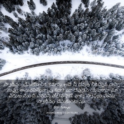 Picture 03 - న్యాయాధిపతులు 11:24 TELIRV - స్వాధీనం - Bible Verse Picture