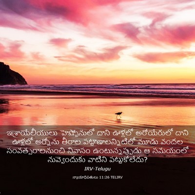 Picture 03 - న్యాయాధిపతులు 11:26 TELIRV - ఇశ్రాయేలీయులు - Bible Verse Picture