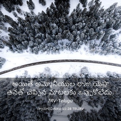 Picture 03 - న్యాయాధిపతులు 11:28 TELIRV - అయితే అమ్మోనీయుల - Bible Verse Picture