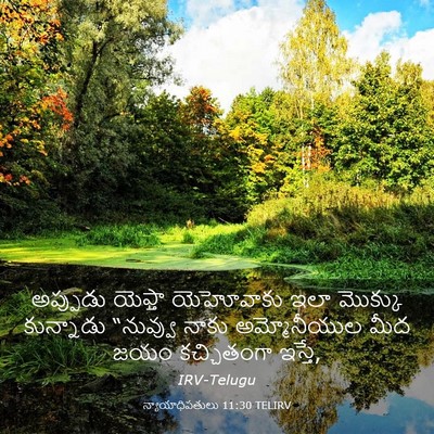Picture 03 - న్యాయాధిపతులు 11:30 TELIRV - అప్పుడు యెఫ్తా - Bible Verse Picture