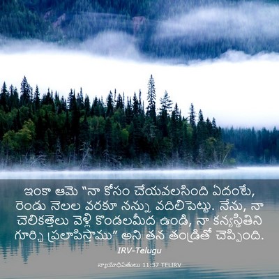 Picture 03 - న్యాయాధిపతులు 11:37 TELIRV - ఇంకా ఆమె “నా కోసం - Bible Verse Picture