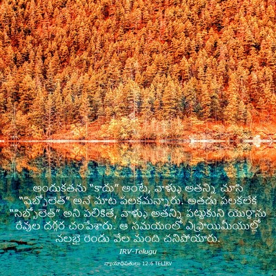 Picture 03 - న్యాయాధిపతులు 12:6 TELIRV - అందుకతను “కాదు” - Bible Verse Picture