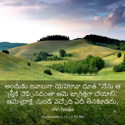 Picture 03 - న్యాయాధిపతులు 13:13 TELIRV - అందుకు జవాబుగా - Bible Verse Picture
