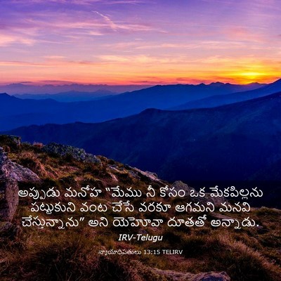 Picture 03 - న్యాయాధిపతులు 13:15 TELIRV - అప్పుడు మనోహ - Bible Verse Picture