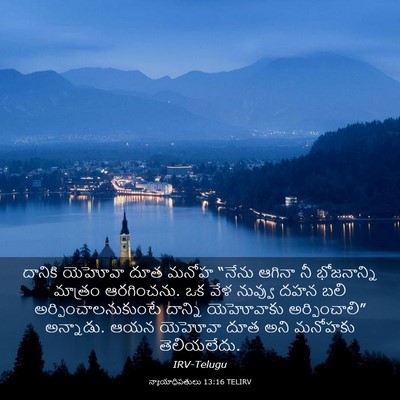 Picture 03 - న్యాయాధిపతులు 13:16 TELIRV - దానికి యెహోవా దూత - Bible Verse Picture