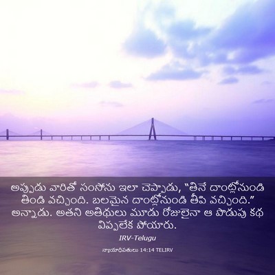 Picture 03 - న్యాయాధిపతులు 14:14 TELIRV - అప్పుడు వారితో - Bible Verse Picture