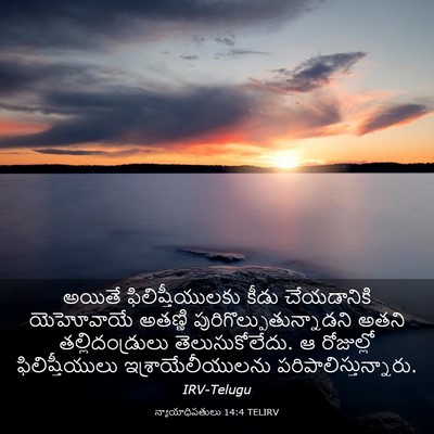 Picture 03 - న్యాయాధిపతులు 14:4 TELIRV - అయితే - Bible Verse Picture