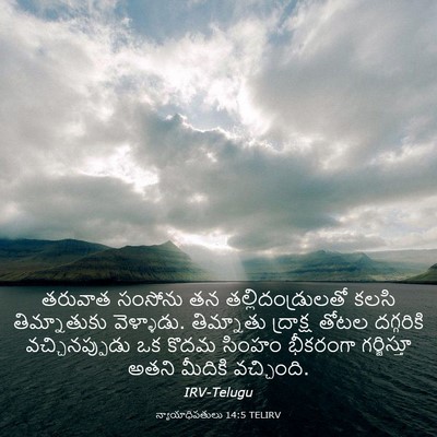 Picture 03 - న్యాయాధిపతులు 14:5 TELIRV - తరువాత సంసోను తన - Bible Verse Picture