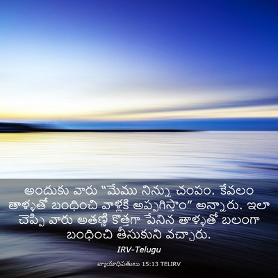 Picture 03 - న్యాయాధిపతులు 15:13 TELIRV - అందుకు వారు “మేము - Bible Verse Picture