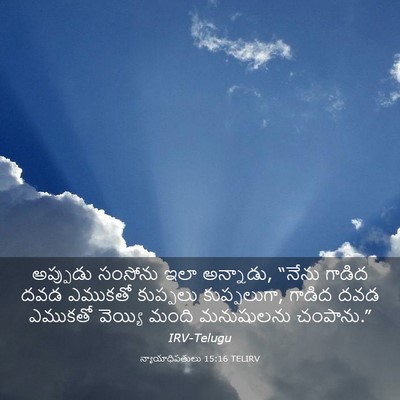 Picture 03 - న్యాయాధిపతులు 15:16 TELIRV - అప్పుడు సంసోను - Bible Verse Picture