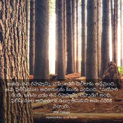 Picture 03 - న్యాయాధిపతులు 16:18 TELIRV - అతడు తన - Bible Verse Picture