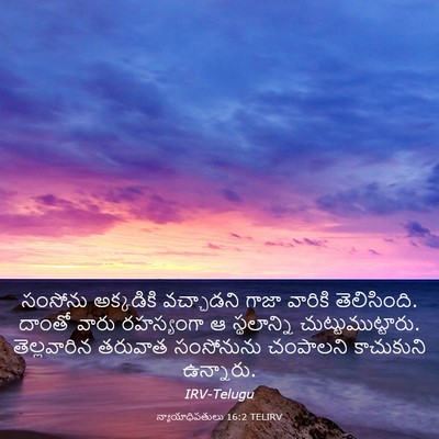 Picture 03 - న్యాయాధిపతులు 16:2 TELIRV - సంసోను అక్కడికి - Bible Verse Picture