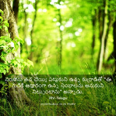 Picture 03 - న్యాయాధిపతులు 16:26 TELIRV - సంసోను తన చెయ్యి - Bible Verse Picture