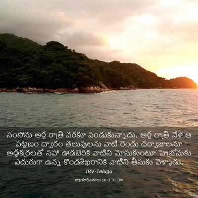 Picture 03 - న్యాయాధిపతులు 16:3 TELIRV - సంసోను అర్థ - Bible Verse Picture