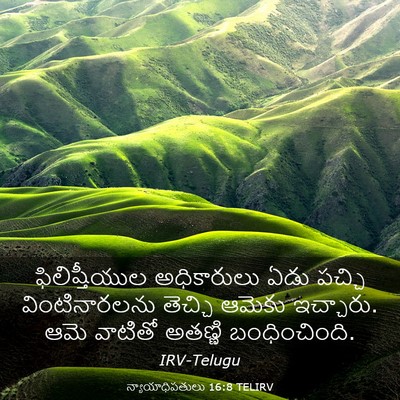 Picture 03 - న్యాయాధిపతులు 16:8 TELIRV - ఫిలిష్తీయుల - Bible Verse Picture
