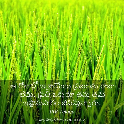 Picture 03 - న్యాయాధిపతులు 17:6 TELIRV - ఆ రోజుల్లో - Bible Verse Picture