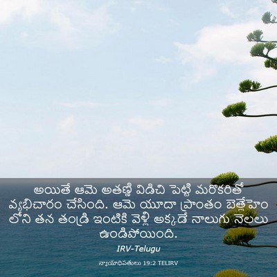 Picture 03 - న్యాయాధిపతులు 19:2 TELIRV - అయితే ఆమె అతణ్ణి - Bible Verse Picture