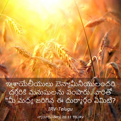 Picture 03 - న్యాయాధిపతులు 20:12 TELIRV - ఇశ్రాయేలీయులు - Bible Verse Picture