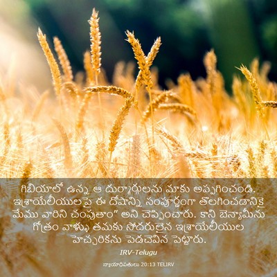 Picture 03 - న్యాయాధిపతులు 20:13 TELIRV - గిబియాలో ఉన్న ఆ - Bible Verse Picture