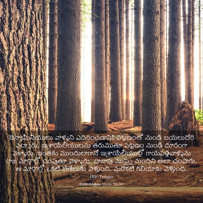 Picture 03 - న్యాయాధిపతులు 20:31 TELIRV - బెన్యామీనీయులు - Bible Verse Picture