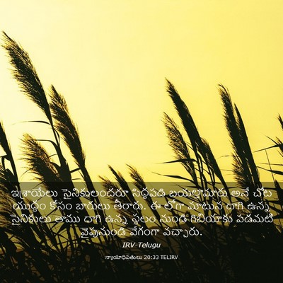 Picture 03 - న్యాయాధిపతులు 20:33 TELIRV - ఇశ్రాయేలు - Bible Verse Picture