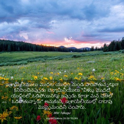 Picture 03 - న్యాయాధిపతులు 20:39 TELIRV - ఇశ్రాయేలీయులు - Bible Verse Picture