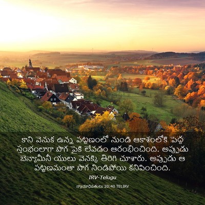 Picture 03 - న్యాయాధిపతులు 20:40 TELIRV - కాని వెనుక ఉన్న - Bible Verse Picture