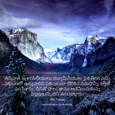 Picture 03 - న్యాయాధిపతులు 20:48 TELIRV - తరువాత - Bible Verse Picture