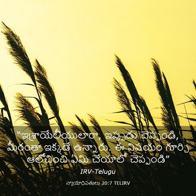 Picture 03 - న్యాయాధిపతులు 20:7 TELIRV - “ఇశ్రాయేలీయులారా, - Bible Verse Picture