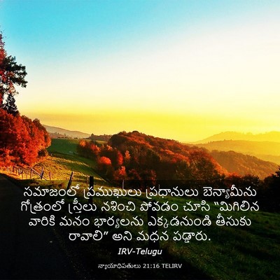 Picture 03 - న్యాయాధిపతులు 21:16 TELIRV - సమాజంలో ప్రముఖులు - Bible Verse Picture
