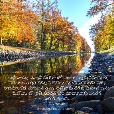 Picture 03 - న్యాయాధిపతులు 21:19 TELIRV - కాబట్టి వాళ్ళు - Bible Verse Picture