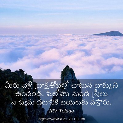 Picture 03 - న్యాయాధిపతులు 21:20 TELIRV - మీరు వెళ్లి - Bible Verse Picture