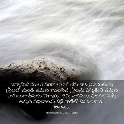 Picture 03 - న్యాయాధిపతులు 21:23 TELIRV - బెన్యామీనీయులు - Bible Verse Picture