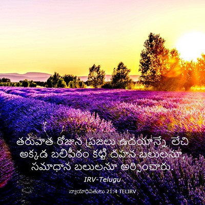 Picture 03 - న్యాయాధిపతులు 21:4 TELIRV - తరువాత రోజున - Bible Verse Picture