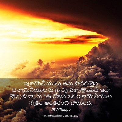 Picture 03 - న్యాయాధిపతులు 21:6 TELIRV - ఇశ్రాయేలీయులు తమ - Bible Verse Picture